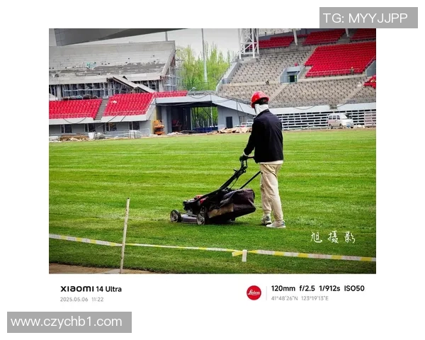 足球场草皮养护与技术创新全解析打造完美赛场的背后秘诀