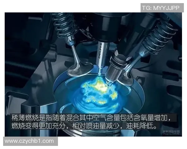 F1赛车燃料策略对比赛成绩影响分析